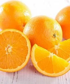 Fast Growing Trees Citrus Trees Trovita Orange Tree 9 Fast Growing Trees Citrus Trees Trovita Orange Tree