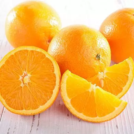 Fast Growing Trees Citrus Trees Trovita Orange Tree 5 Fast Growing Trees Citrus Trees Trovita Orange Tree