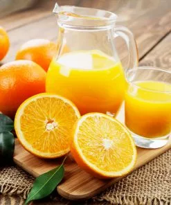 Fast Growing Trees Valencia Orange Tree Citrus Trees 14 Fast Growing Trees Valencia Orange Tree Citrus Trees