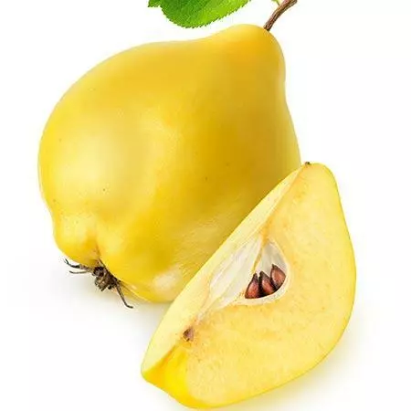 Fast Growing Trees See All Fruit Trees Van Deman Quince 5 Fast Growing Trees See All Fruit Trees Van Deman Quince