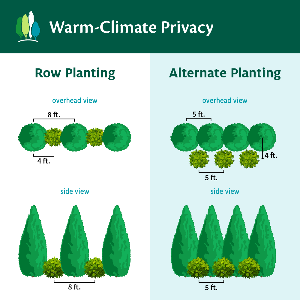 Fast Growing Trees See All House & Patio Warm-Climate Privacy Kit 5 Fast Growing Trees See All House & Patio Warm-Climate Privacy Kit