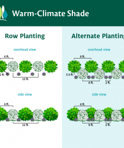Fast Growing Trees Full Landscape Kits For Any Climate Warm-Climate Shade Garden Kit 10 Fast Growing Trees Full Landscape Kits For Any Climate Warm-Climate Shade Garden Kit