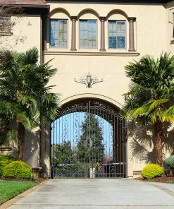 Fast Growing Trees Windmill Palm Tree 15 Fast Growing Trees Windmill Palm Tree