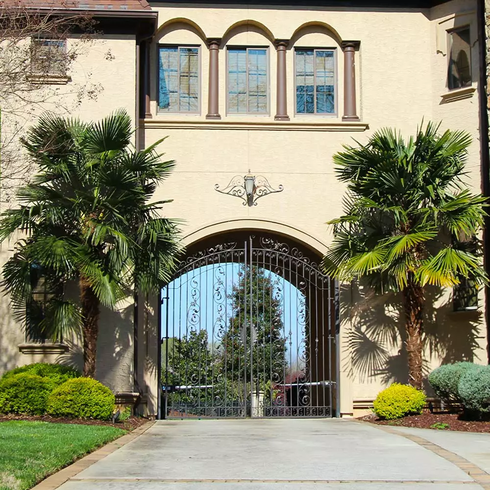 Fast Growing Trees Windmill Palm Tree 9 Fast Growing Trees Windmill Palm Tree