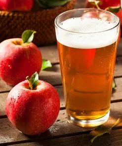 Fast Growing Trees Winesap Apple Tree Apple Trees