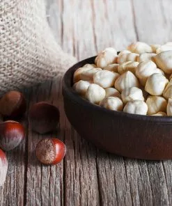 Fast Growing Trees York Filbert Hazelnut 12 Fast Growing Trees York Filbert Hazelnut