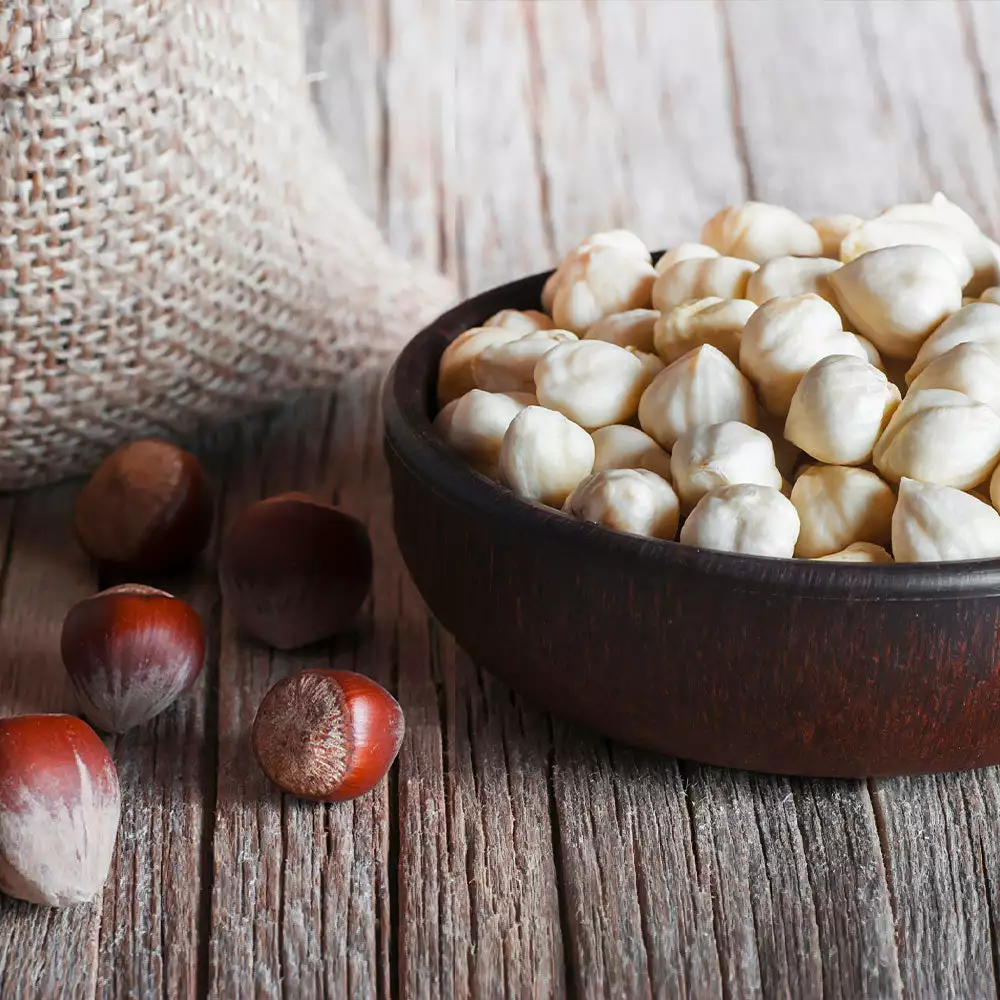 Fast Growing Trees York Filbert Hazelnut 7 Fast Growing Trees York Filbert Hazelnut