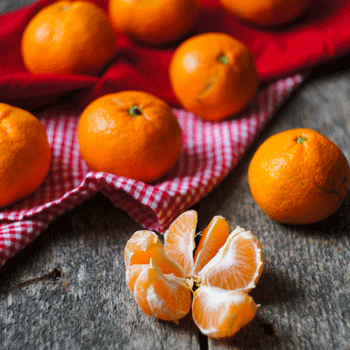 Fast Growing Trees Yosemite Gold Mandarin Tree Citrus Trees 3 Fast Growing Trees Yosemite Gold Mandarin Tree Citrus Trees