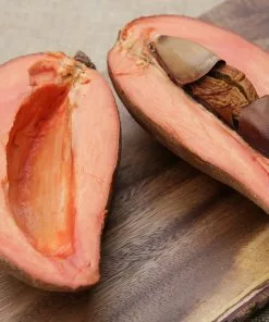 Fast Growing Trees Mamey Fruit Tree (Sapote) Tropical Fruit Trees 9 Fast Growing Trees Mamey Fruit Tree (Sapote) Tropical Fruit Trees