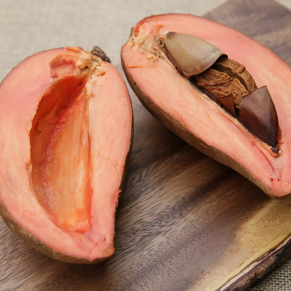 Fast Growing Trees Mamey Fruit Tree (Sapote) Tropical Fruit Trees 5 Fast Growing Trees Mamey Fruit Tree (Sapote) Tropical Fruit Trees