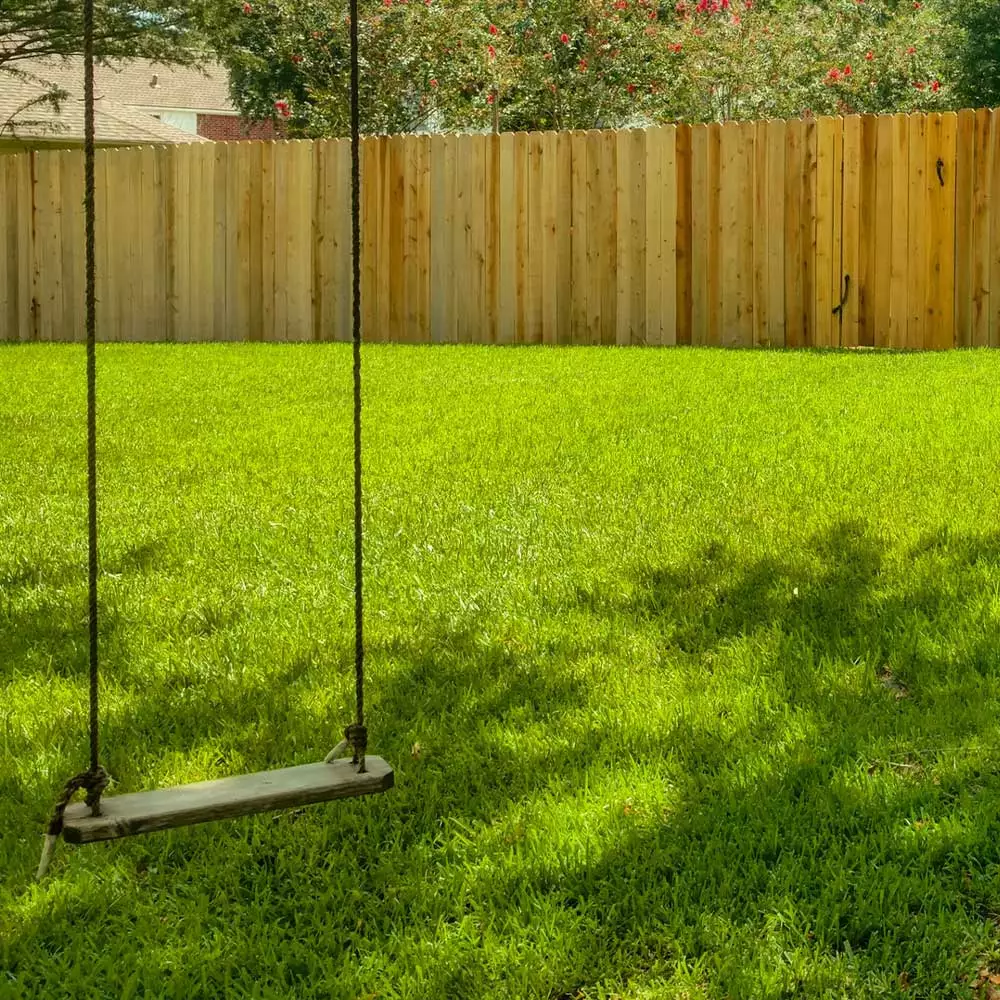 Fast Growing Trees Erosion Control TurboTurf™ Sun & Shade Grass Seed 5 Fast Growing Trees Erosion Control TurboTurf™ Sun & Shade Grass Seed